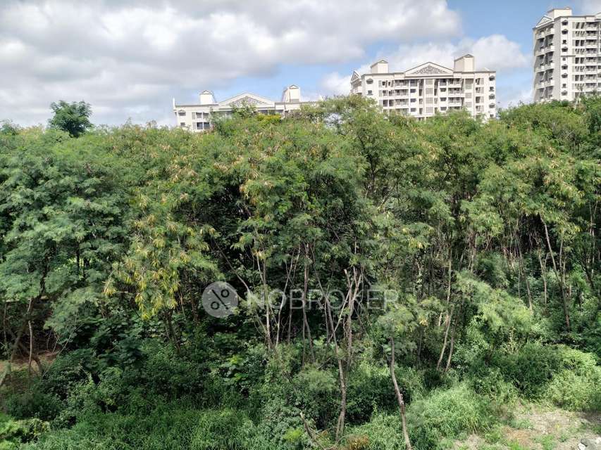 1 BHK Flat In Saraswati Complex For Sale  In Hadapsar