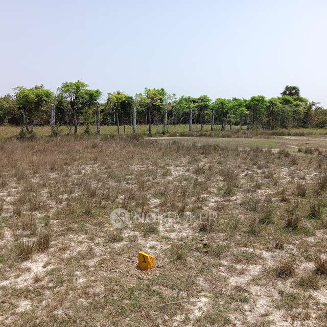 Plot For Sale  In Bharathi Journalist Nagar