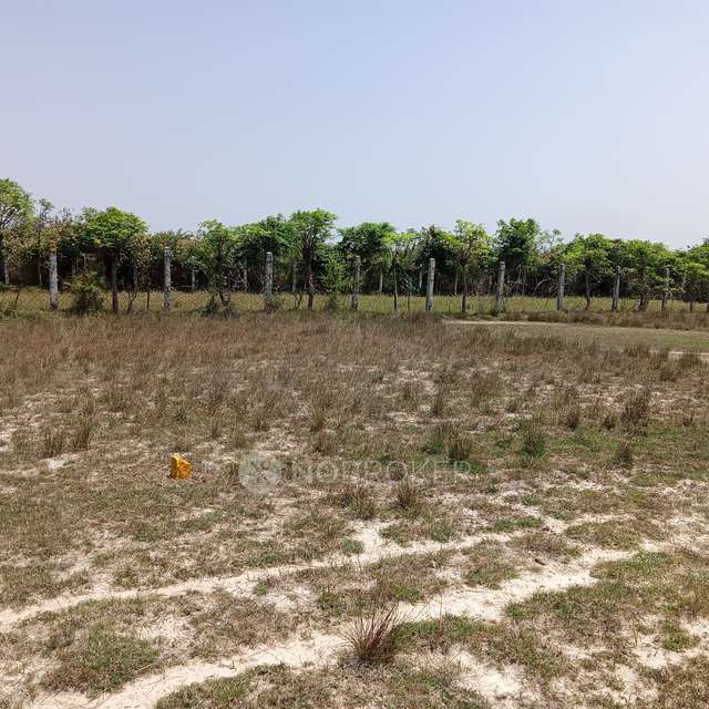 Plot For Sale  In Bharathi Journalist Nagar
