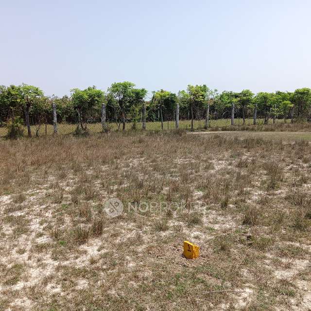 Plot For Sale  In Bharathi Journalist Nagar