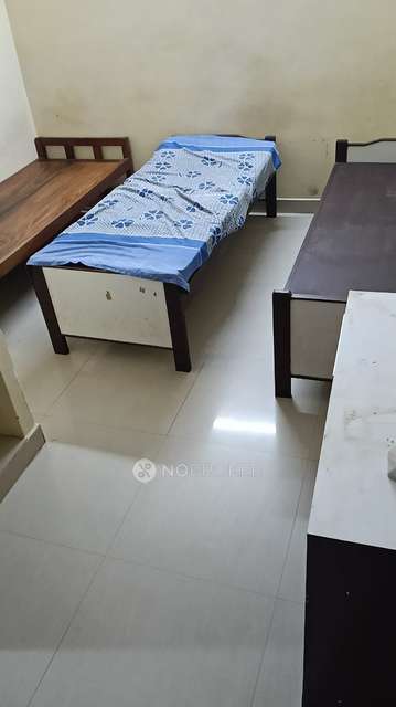 PG for Boys in Austin Nagar