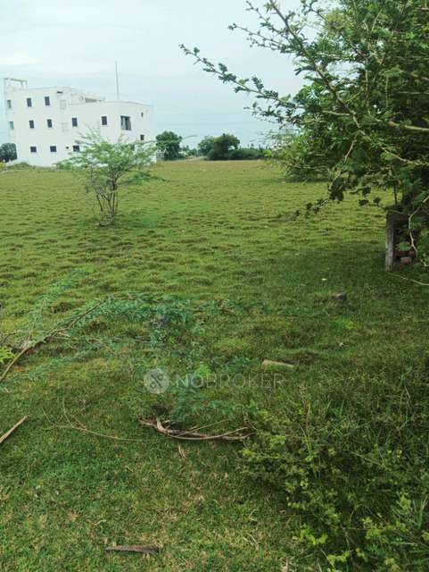 Plot For Sale  In Potheri
