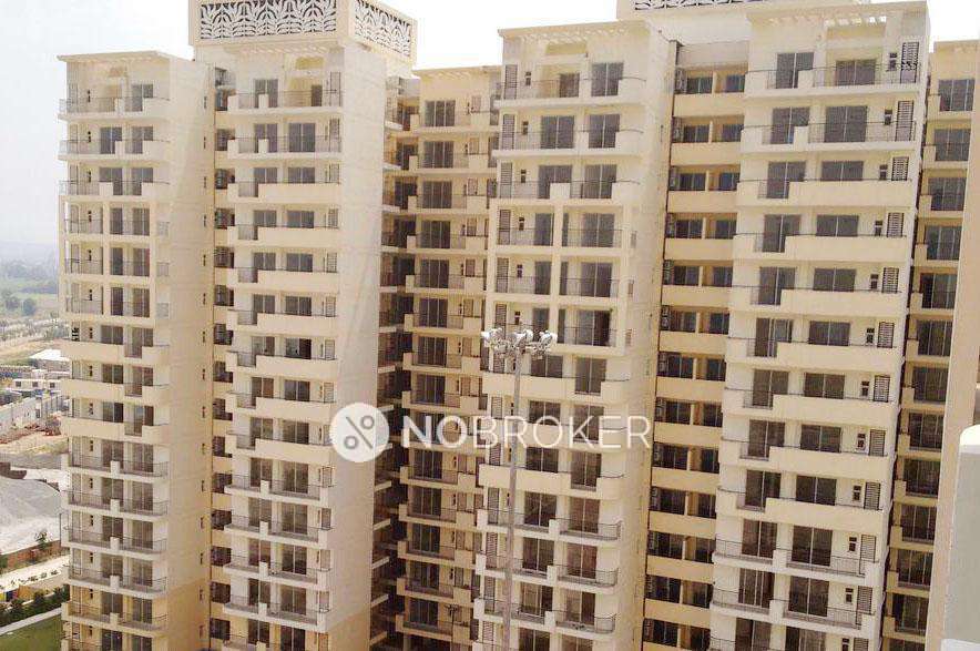 2 BHK Flat In Bestech Park View Ananda Sector 81 for Rent  In Bestech Park View Ananda