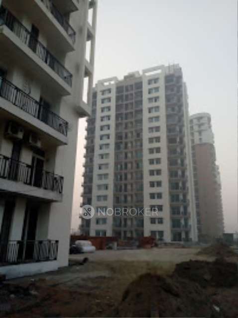 2 BHK Flat In Sikka Karnam Greens for Rent  In Sector 143b