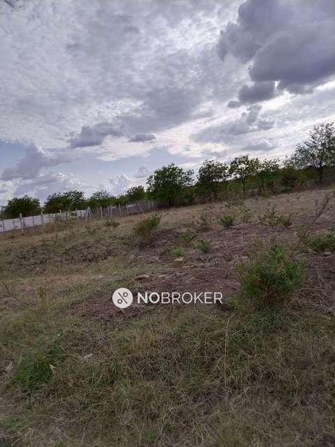 Plot For Sale  In Lahari Green Park , Bhanur  Near Mokhila  In Bhanur