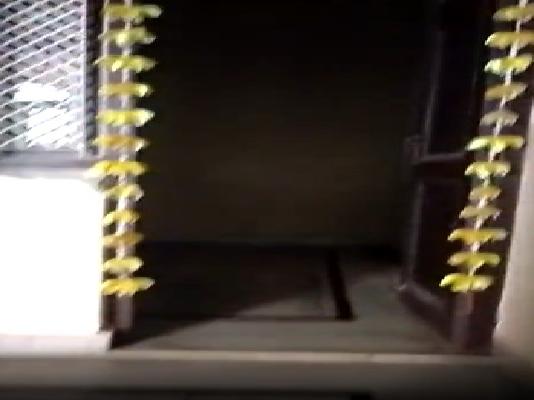 1 BHK House For Sale  In Sonia Vihar