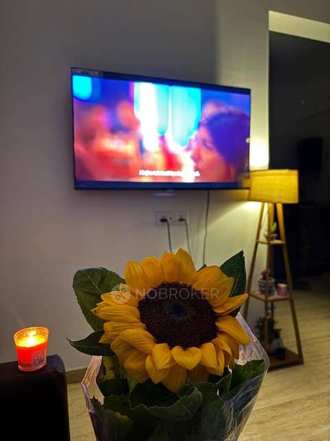 Single Room for Female In 2 BHK  In Vtp Belair In Mahalunge