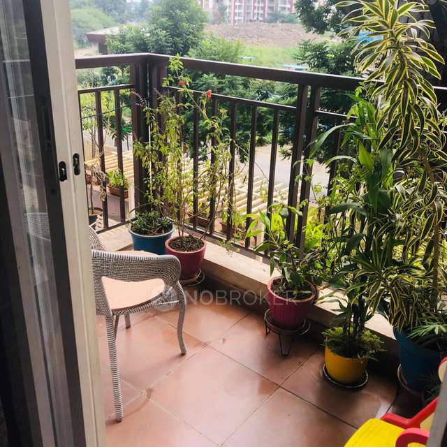 2 BHK Flat In Shriyans Punawale, Punawale, Pune for Rent  In Punawale, Pune