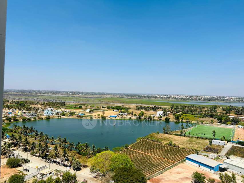 2 BHK Flat In Shriram Greenfield for Rent  In Shriram Greenfield Phase 2 Main Gate