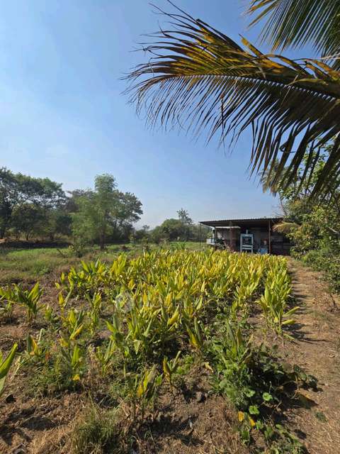 Plot For Sale In Pjw9+xwh, Brahmanwadi, Maharashtra 412106, India