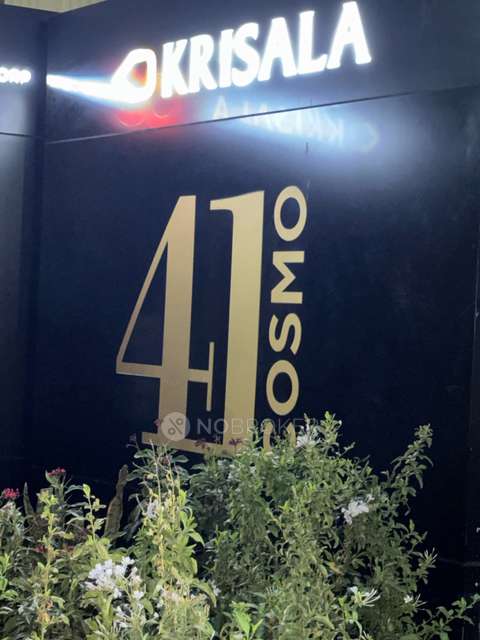 3 BHK Flat In 41 Cosmo, 41 Cosmo for Rent  In 41 Cosmo