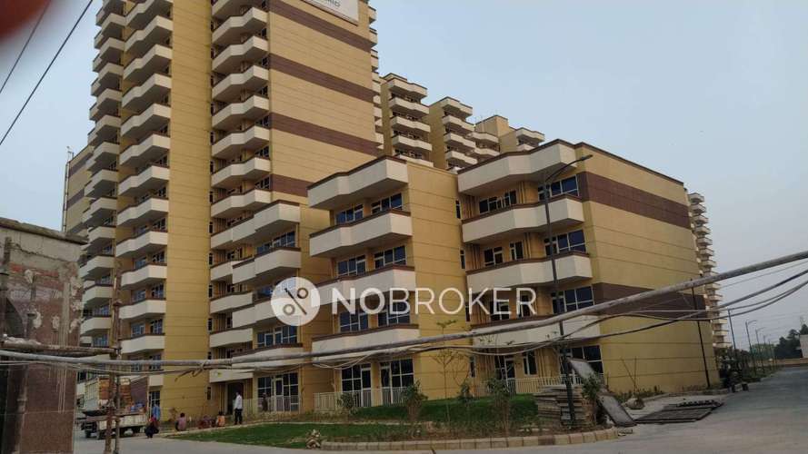 2 BHK Flat In Pyramid Urban Homes  for Rent  In Sector 67