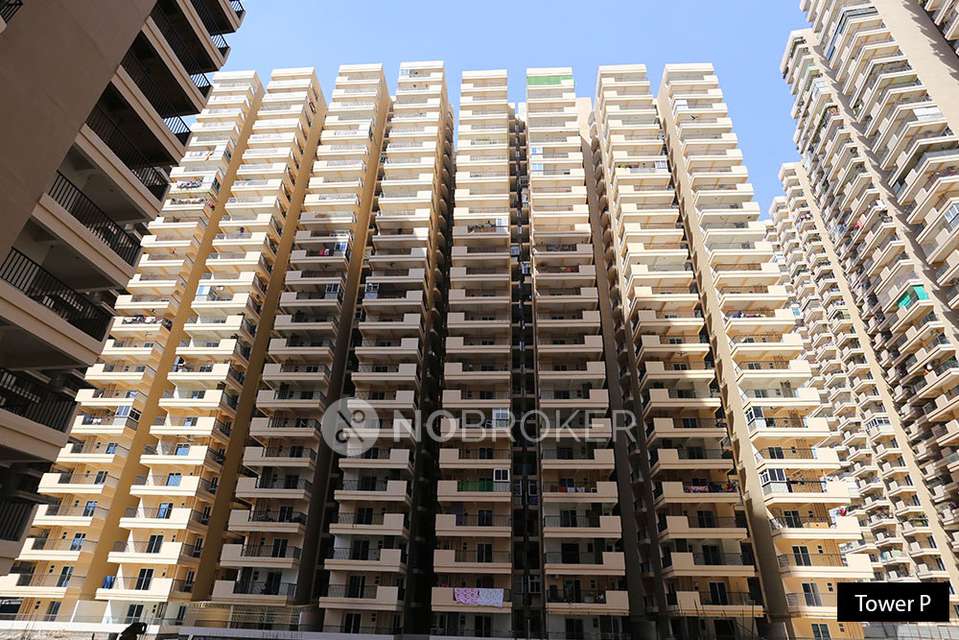 Single Room for Male In 3 BHK  In 14th Ave In Gaur City