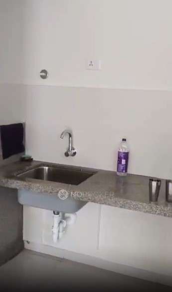 1 BHK Flat In Rohan Prathama, Hinjewadi for Rent  In Rohan Prathama