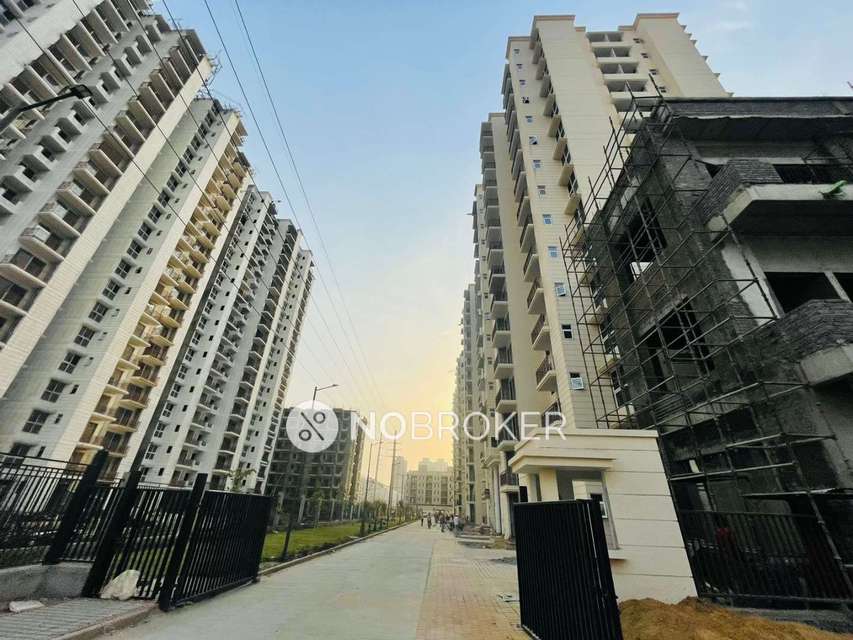 2 BHK Villa In Signature Global Proxima for Rent  In Sector 89