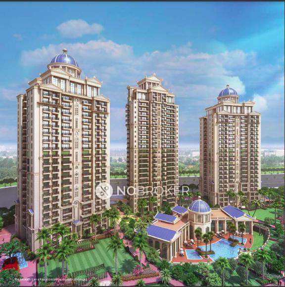 3 BHK Flat In Ats Marigold for Rent  In Sector 89a
