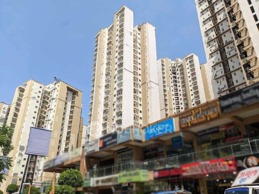 1 BHK Flat In Paras Tierea For Sale  In Sector 137