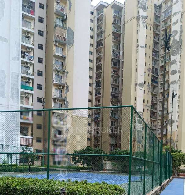 1 BHK Flat In Paras Tierea For Sale  In Sector 137