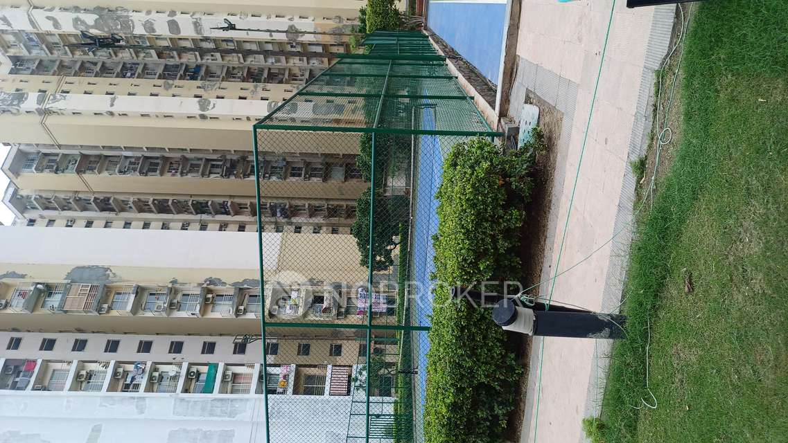 1 BHK Flat In Paras Tierea For Sale  In Sector 137