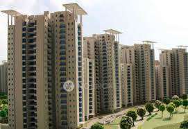 Single Room for Female In 3 BHK  In Jaypee Aman In Sector 151
