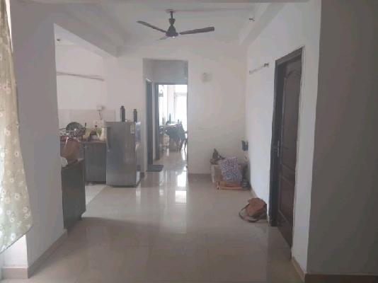 Single Room for Male In 3 BHK  In Amrapali Princely Estate In Sector 76