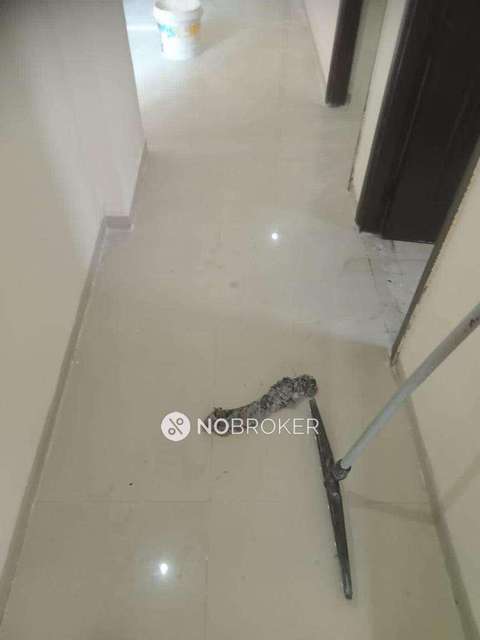 2 BHK Flat In Logix Blossom County For Sale  In Sector-137