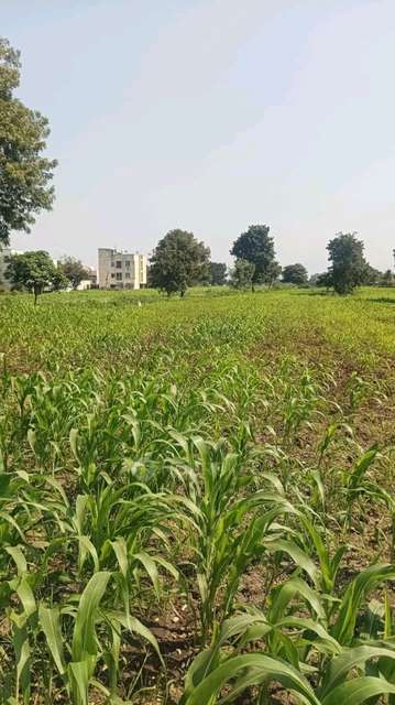 Commercial Property in Handewadi, Pune for Rent 