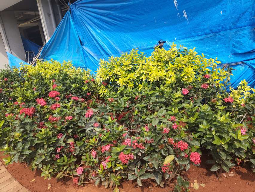 2 BHK Flat In Surbacon Cedar For Sale  In Electronic City Phase 2