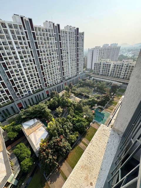 Shared Room for Male In 2 BHK  In Godrej 24 In  Hinjawadi