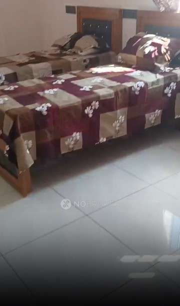 PG for Anyone in Mahadevapura