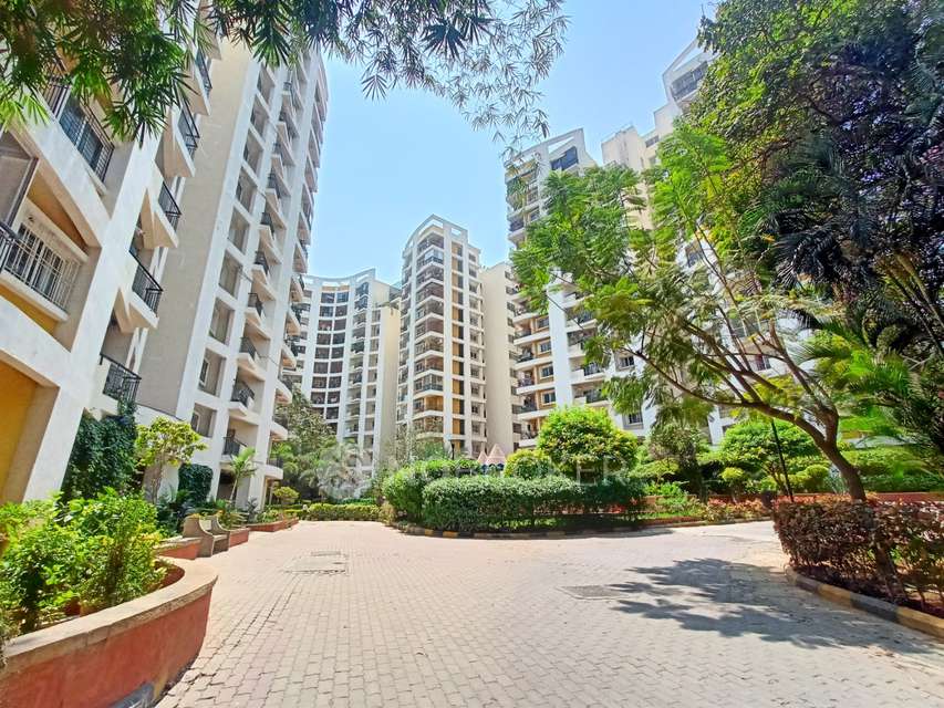 3 BHK Flat In Salarpuria Sanctity, Kaikondrahalli for Rent  In Kaikondrahalli