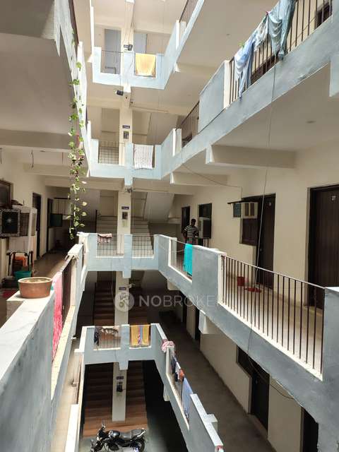 PG for Anyone in Sector 135, Sector 135, Noida