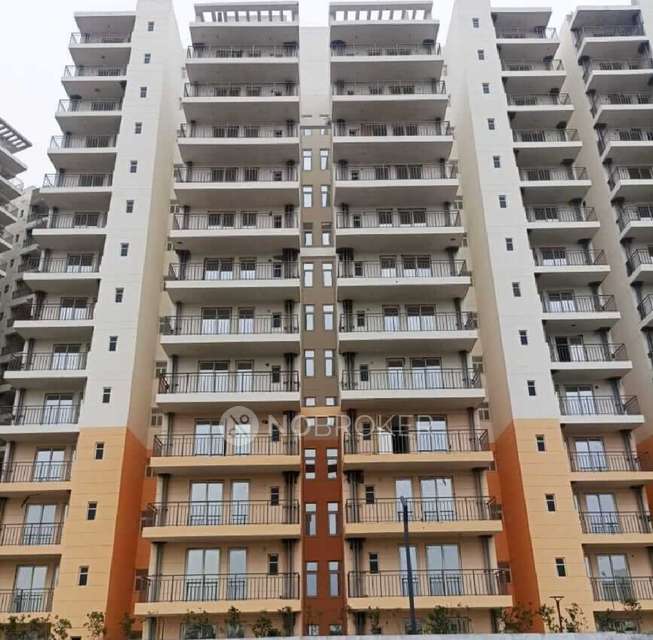 1 BHK Flat In Rof Amaltas for Rent In Sector 92