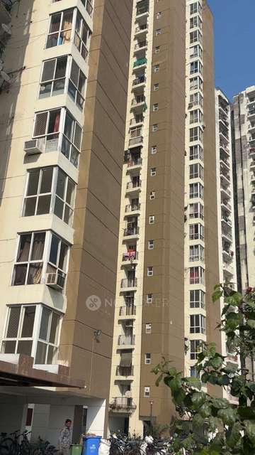 Single Room for Female In 3 BHK  In Jaypee Aman In Sector 151