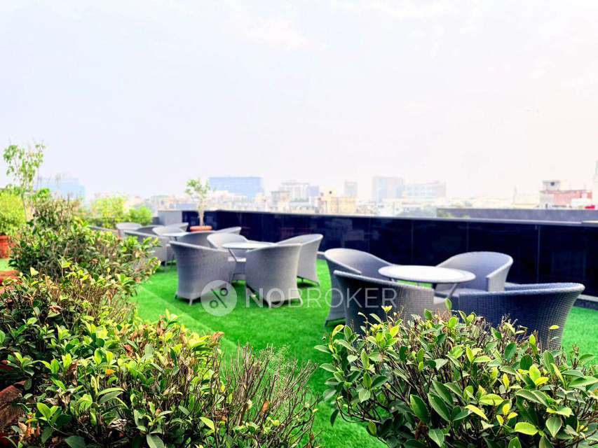 PG for Anyone in Sector 24 Dlf Phase 3 