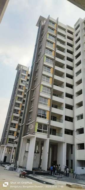 Single Room for Male In 3 BHK  In Temple Tree Apartment (sb Urban) In Bommanahalli,
