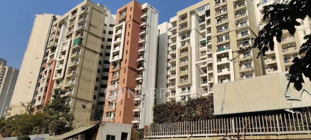 3 BHK Flat In 3c Lotus Panache for Rent  In Sector 110