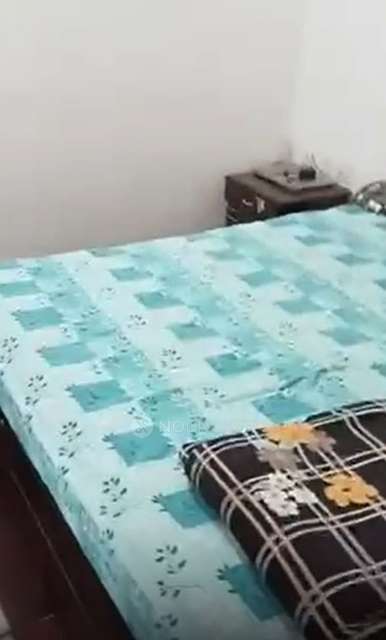 2 BHK Flat In Ajnara  for Rent  In Ajnara Homes