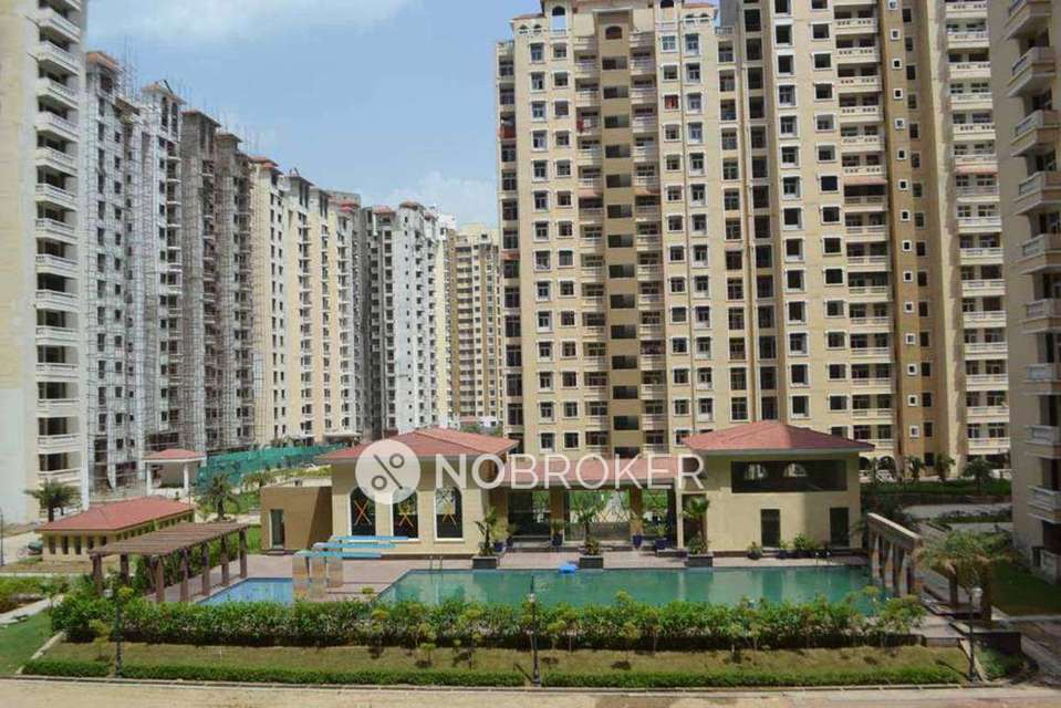 1 BHK Flat In Amrapali Silicon City for Rent  In  Sector 76
