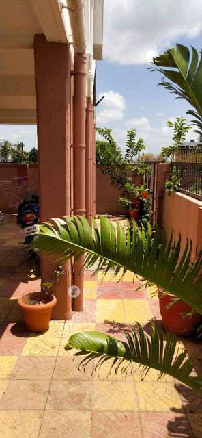 1 BHK Flat In Yash Gold for Rent  In Narhe 