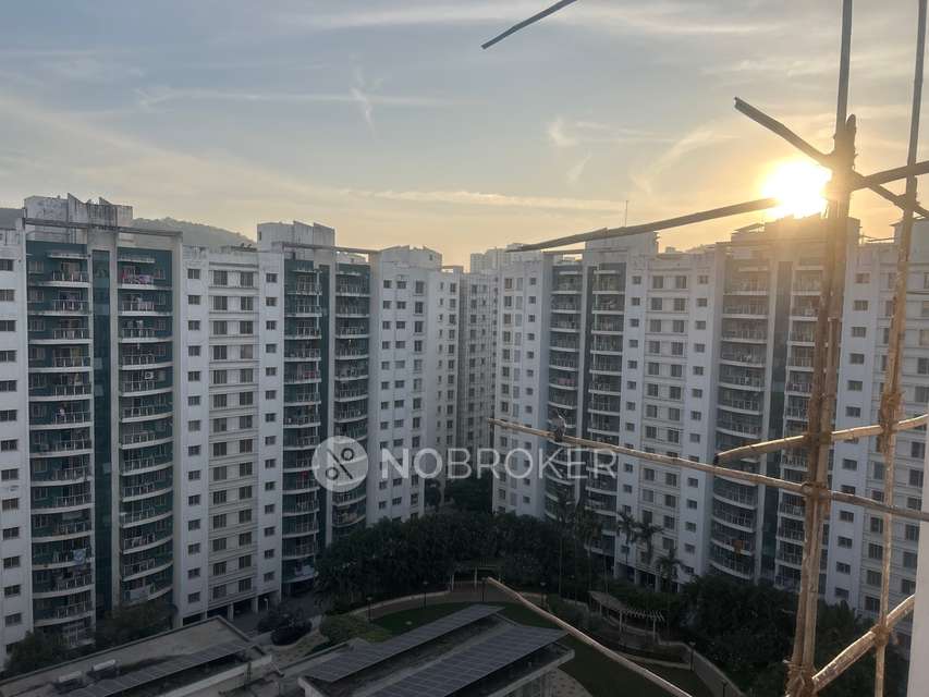 2 BHK Flat In Megapolish Splendour  for Rent  In Megapolis Splendour