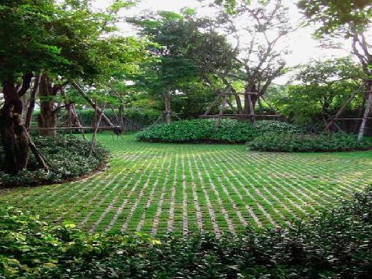 3 BHK Flat In Sri Lakshmi Vasuki Vallabha For Sale  In Bommasandra