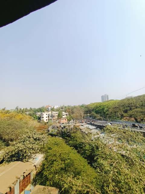 1 BHK Flat In Peshwa Building for Rent  In Saras Baug