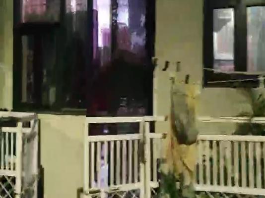 2 BHK House For Sale  In Sector 25