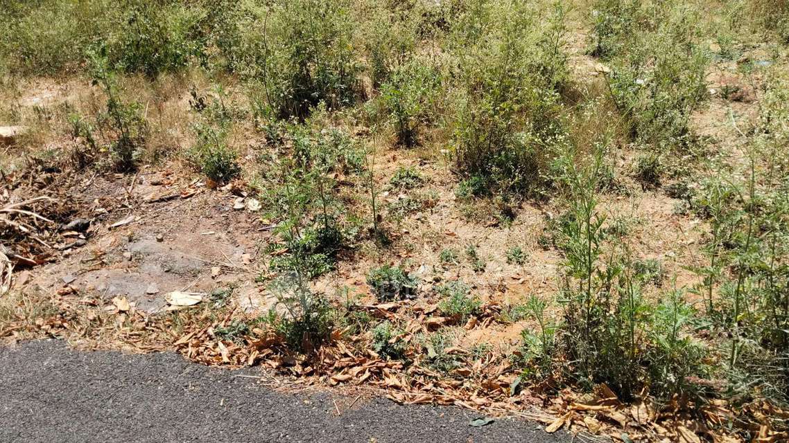 Plot For Sale  In Indraprasth Colony In Vh6f+r6v Walking Park, Classic Pleasant Ville Layout, Anjanapura Twp, Bengaluru, Kothnur, Karnataka 560108, India