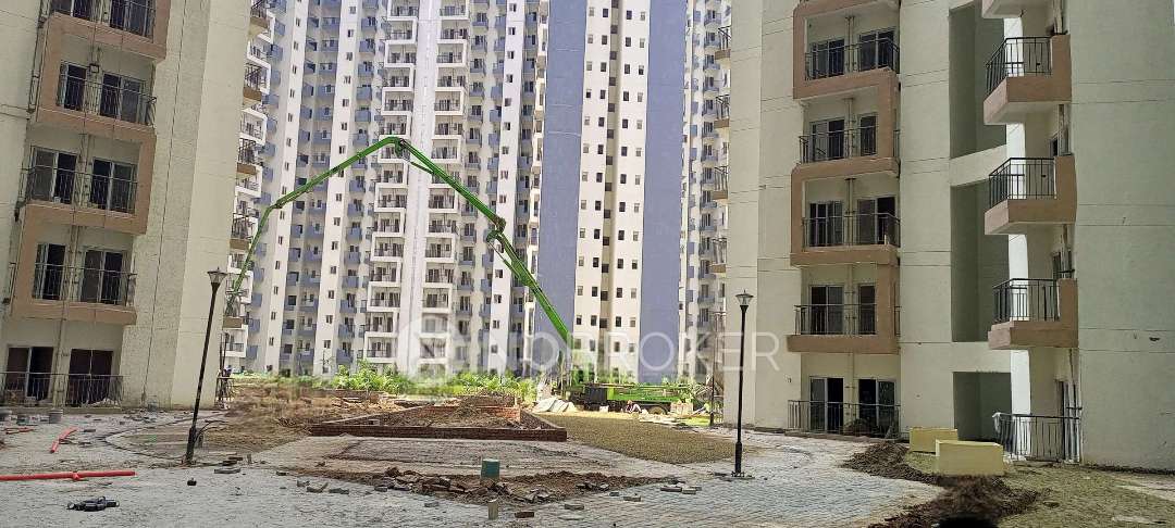1 BHK Flat In Amrapali Dream Valley for Rent  In Amrapali Dream Valley