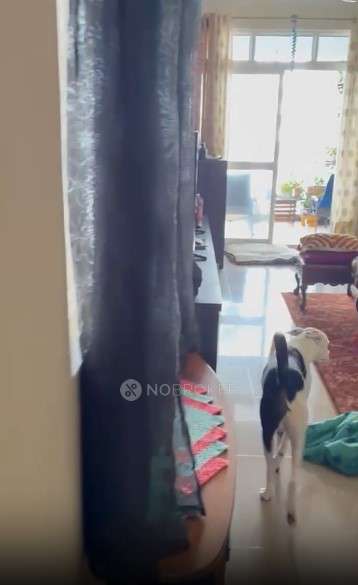 3 BHK Flat In Awho Complex,  Kadugodi, Bangalore for Rent  In  Kadugodi, Bangalore