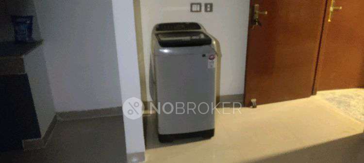 3 BHK Flat In Rof Amaltas for Rent  In Sector 91