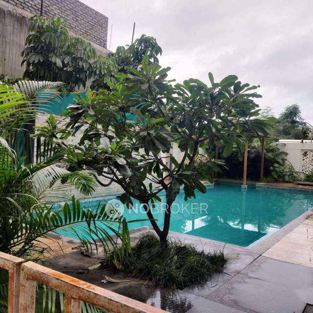 2 BHK Flat In Krisala 41 Elite  for Rent  In Tathawade