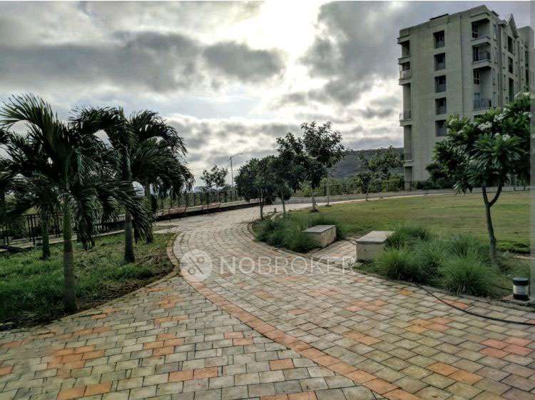 2 BHK Flat In Xrbia Hinjawadi for Rent  In Hinjawadi,nerhe